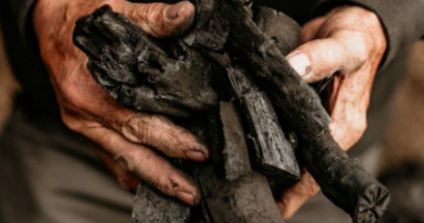 “Carboners a Menorca”, un documental sobre un ofici que perdura en el temps