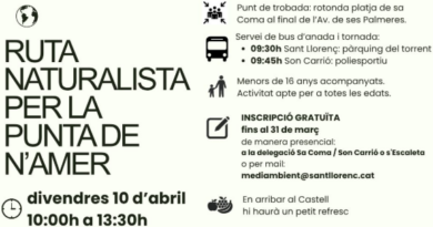 Ruta naturalista per la Punta de n’Amer: natura, aprenentatge i família