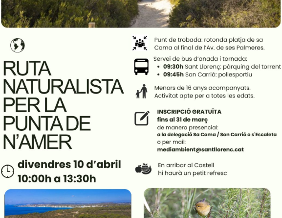 Ruta naturalista per la Punta de n’Amer: natura, aprenentatge i família