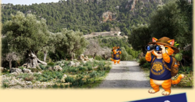 Excursió d’Estellencs a Banyalbufar amb l’Associació de Veïns de Son Rapinya