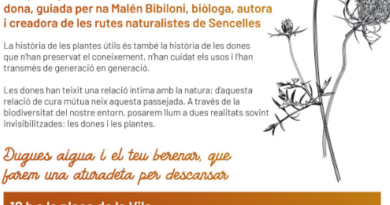 Sencelles organitza una passejada etnobotànica sobre plantes i saviesa popular