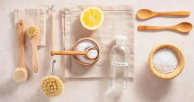 Taller de neteja natural per a la llar amb Sa Terra Ibiza a Biosmell