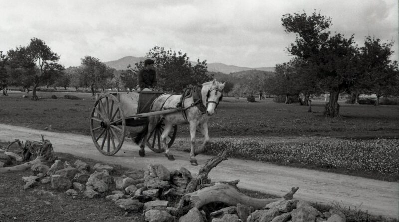 Santa Eulària reivindica la memòria dels carros amb una jornada a Can Planetes