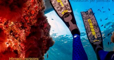 VI Open Cazafotosub Apnea Formentera 2026