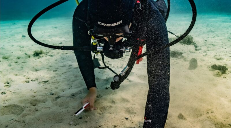 “Converses amb la mar” tanca abril amb una mirada a l’arqueologia subaquàtica a Mallorca