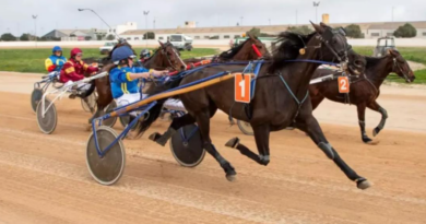 El trot torna a Maó amb una jornada de carreres i espectacle eqüestre al hipòdrom