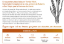 “Carreranys de silencis”: una ruta per redescobrir la memòria i els camins de Sencelles