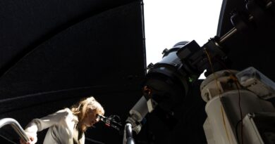 IBICINE inicia la seva novena edició amb el focus posat en l’univers i la formació cinematogràfica