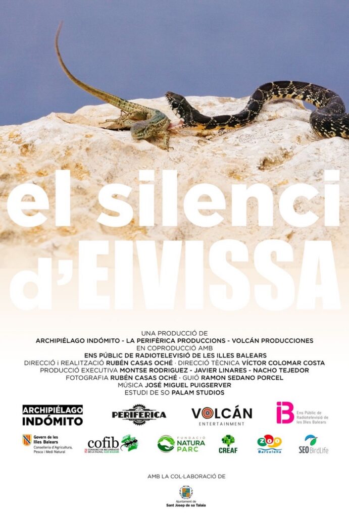 S’estrena “El silenci d’Eivissa”, un documental sobre les serps invasores a l’illa