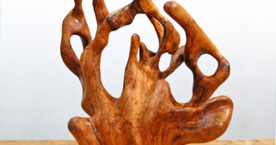 L’alumnat del taller de talla en fusta d’Aaron Keydar exposa a Sant Francesc