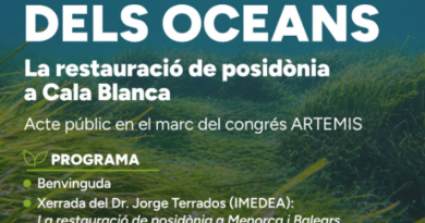 Ciutadella celebrarà el Dia Mundial dels Oceans amb una jornada dedicada a la restauració de la posidònia