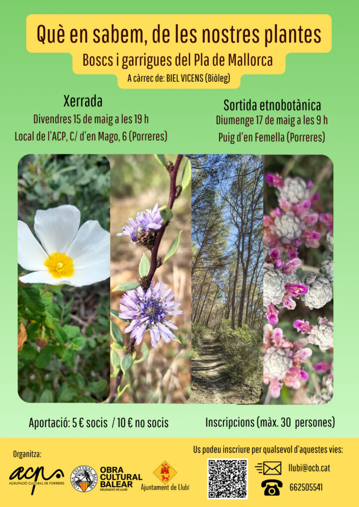 Porreres i Llubí impulsen unes jornades per descobrir la flora del Pla de Mallorca des d’una mirada etnobotànica
