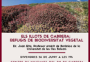 Cabrera en Perspectiva analitza el paper dels illots com a refugis de biodiversitat vegetal