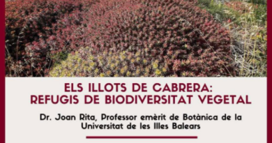 Cabrera en Perspectiva analitza el paper dels illots com a refugis de biodiversitat vegetal