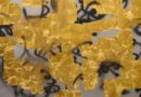 Stefan Brüggemann transforma el MACE con “Cel d’Or”, una gran intervención artística concebida para Ibiza