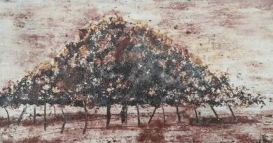 Matilde Hernández presenta Calitja a les Pitiüses, un viatge pictòric pels paisatges i les emocions d'Eivissa i Formentera